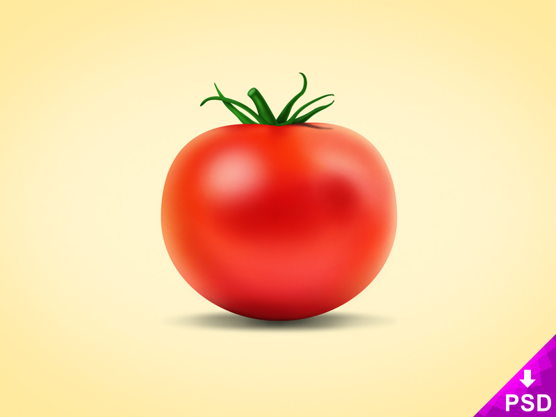 Realistic Tomato Design